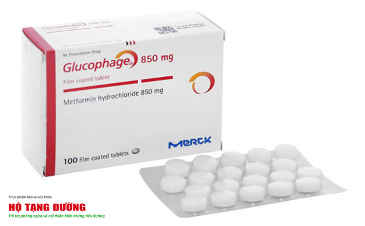Glucophage được sử dụng phổ biến trong điều trị đái tháo đường type 2
